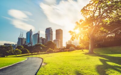 Interest rates on hold but where to for property prices?